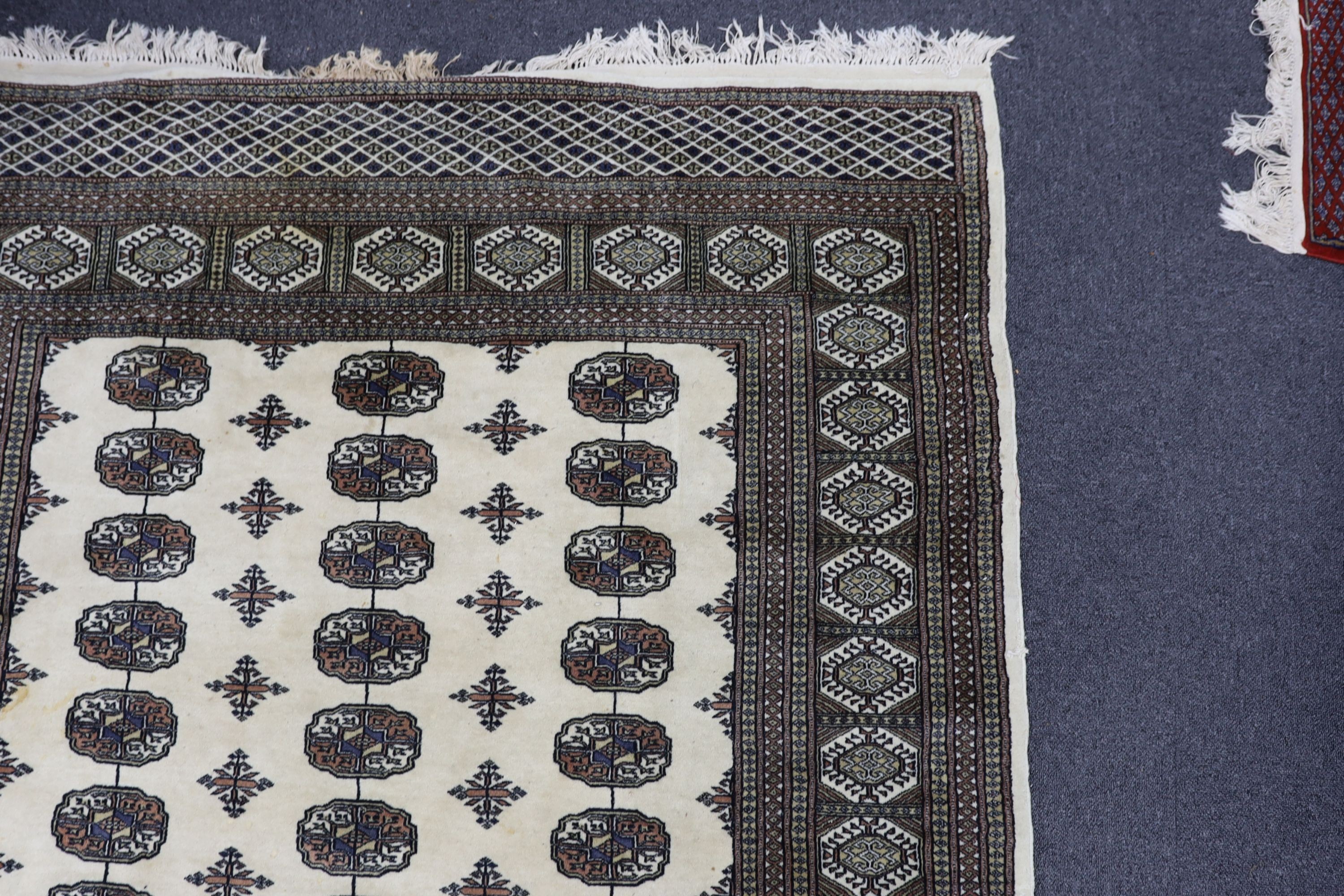 A Bokhara ivory ground rug, 246 x 156cm